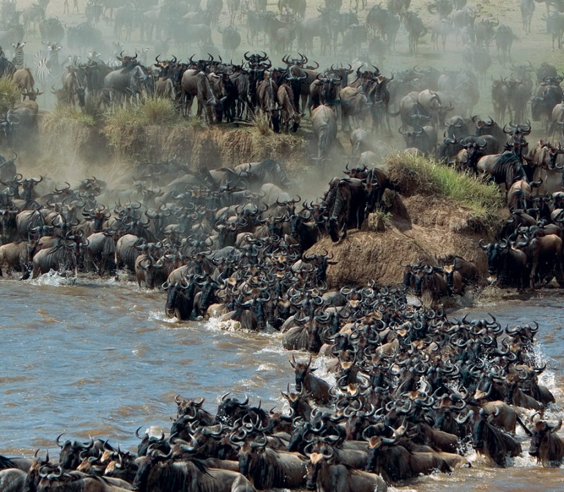 8 Days Tanzania great wildebeest migration safari for women