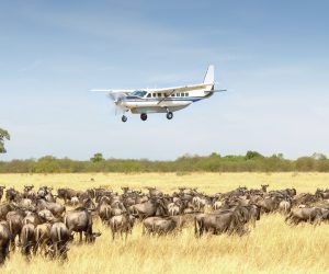 fly in safari serengeti