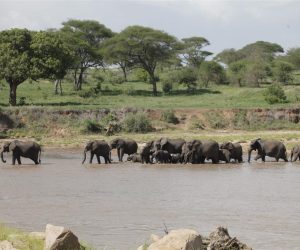 tarangire natiional park 2 1024x683 1